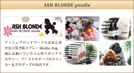 ASH BLONDE poodle