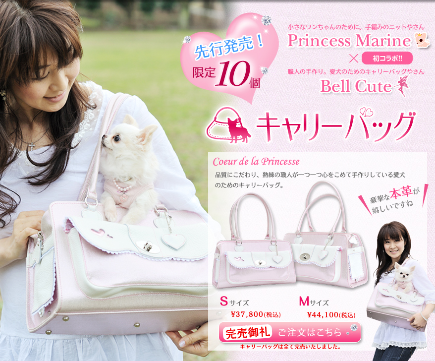 【荒木レポートVol.5】愛犬のためのキャリーバッグ「Coeur de la Princesse」合計10個の先行販売 ご注文はこちら