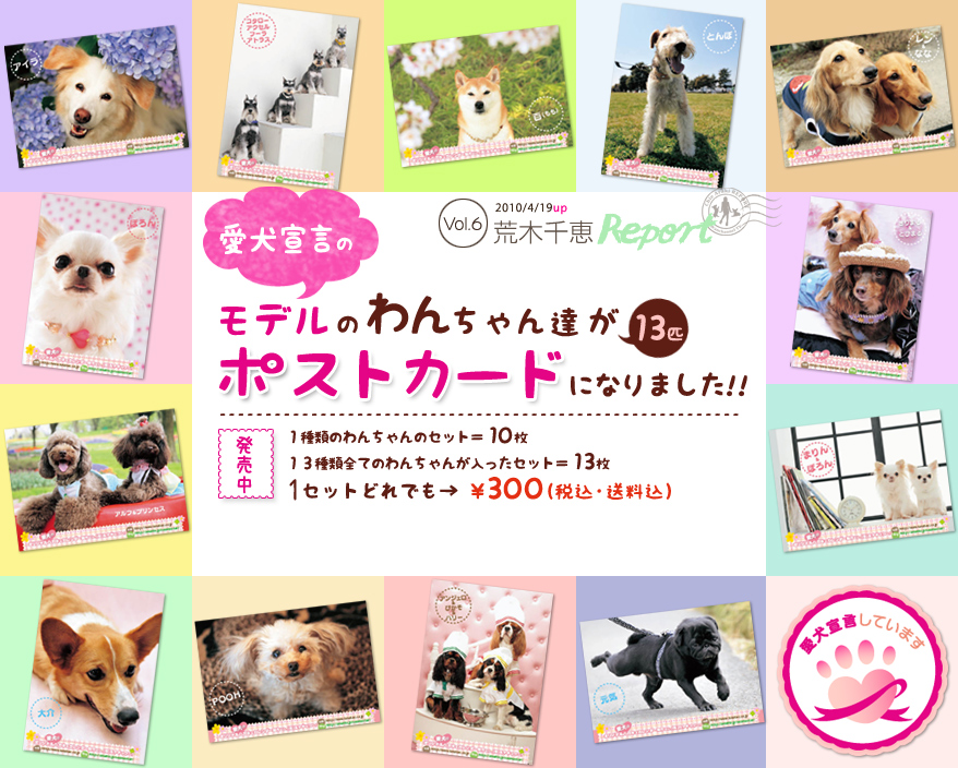 【荒木レポートVol.6】愛犬宣言のモデルのワンちゃんがポストカードに！1セット300円で発売中！